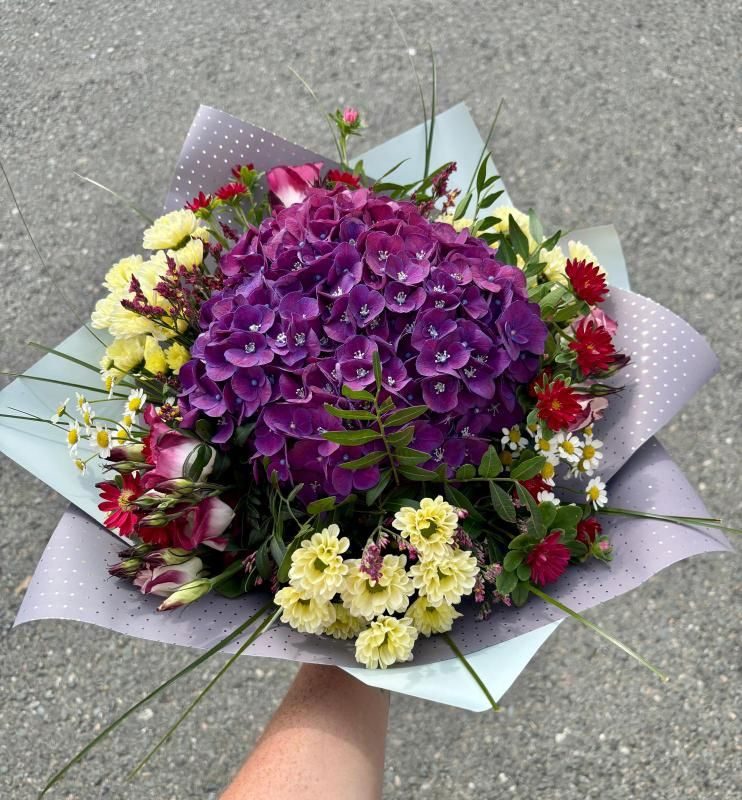 Hortenzie Violet